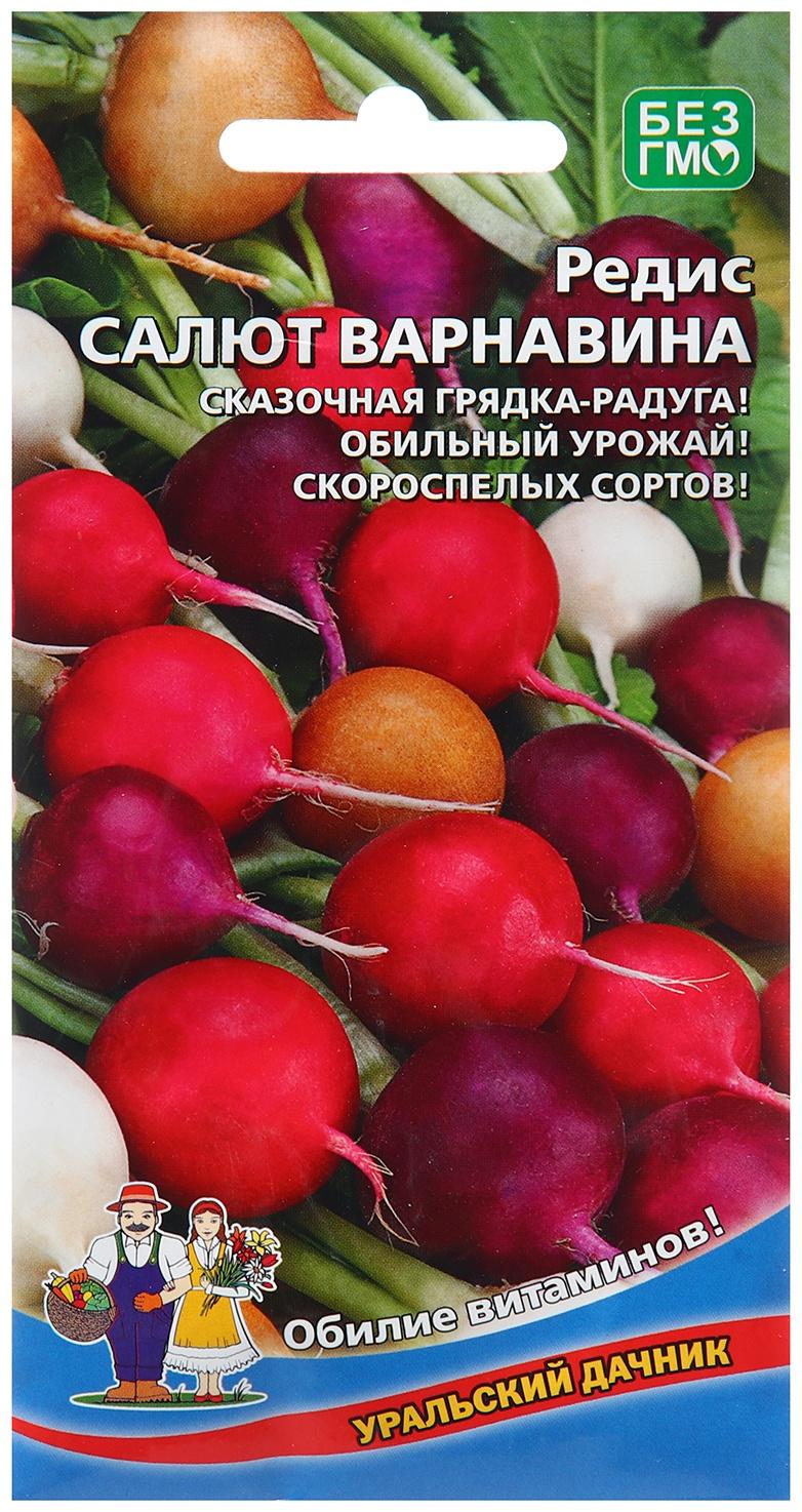 Семена Редис 