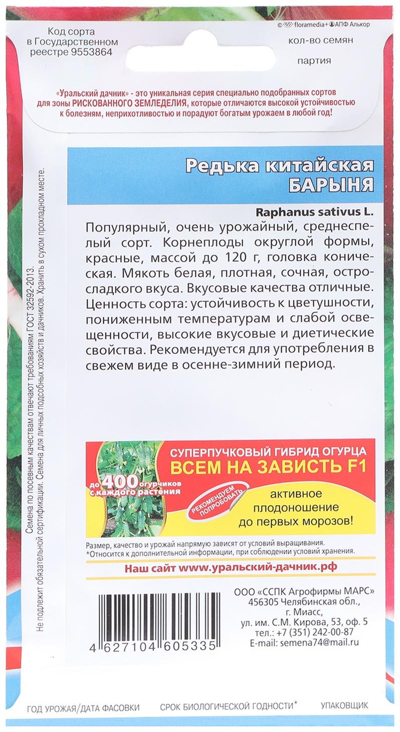 Семена Редька 