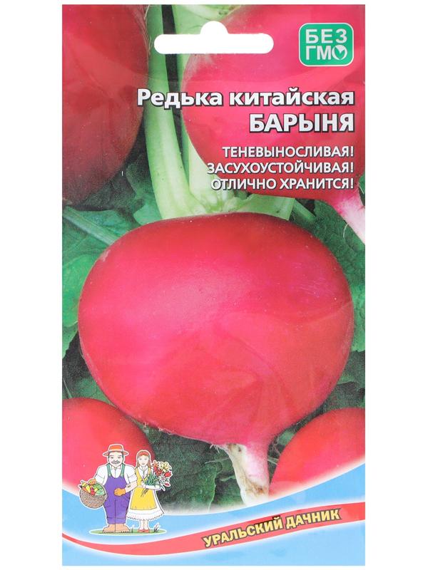 Семена Редька 