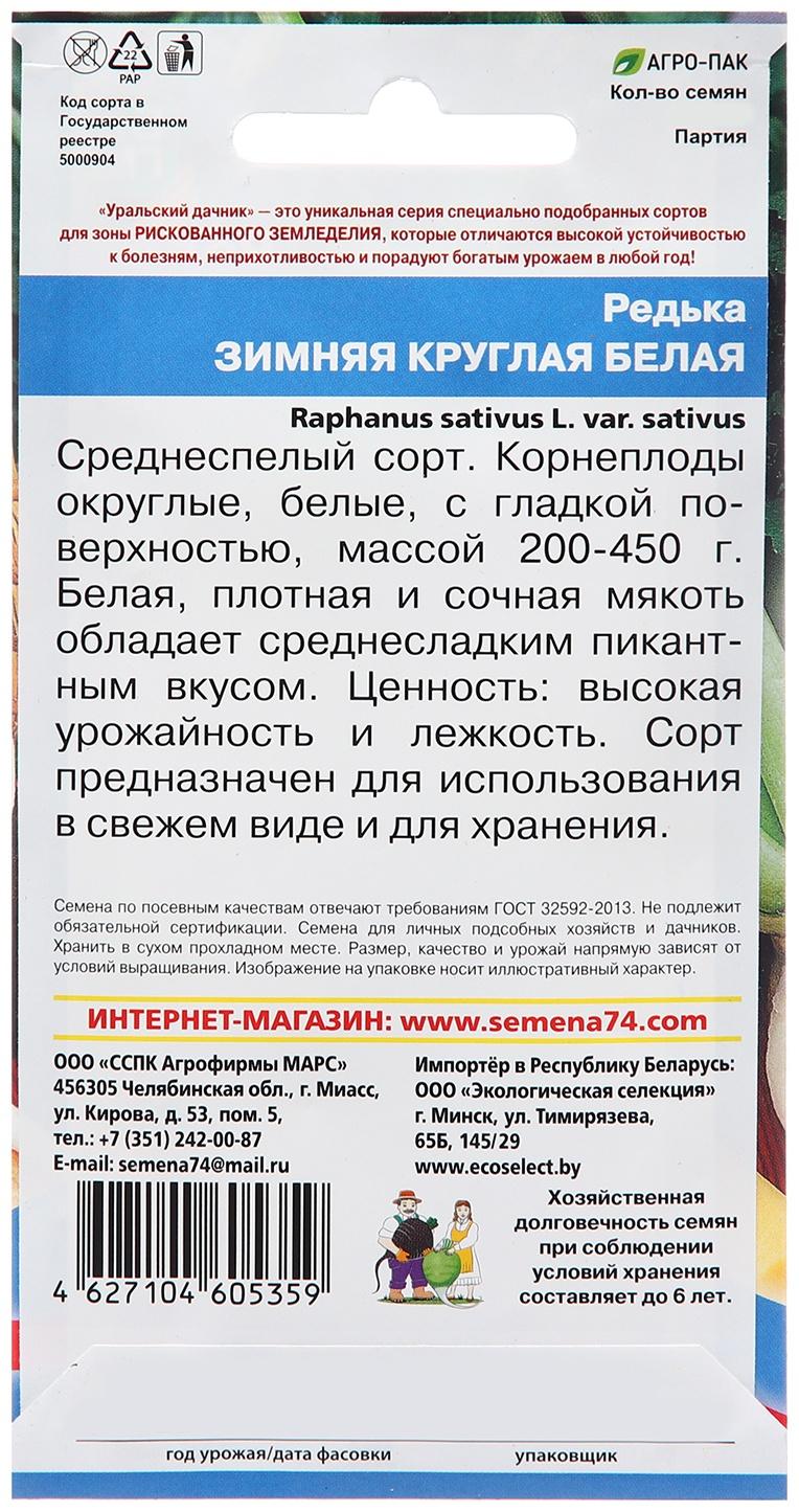 Семена Редька 