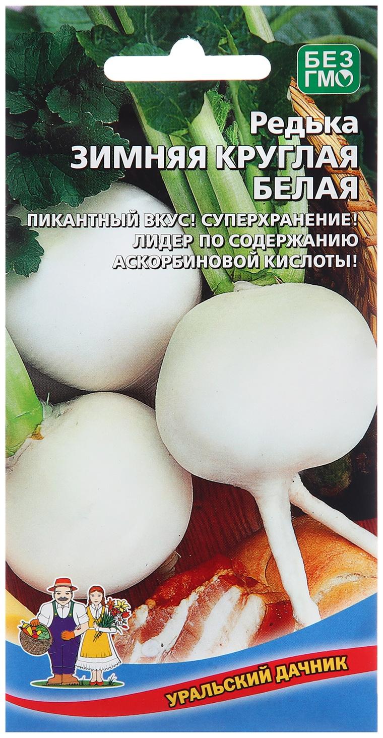 Семена Редька 