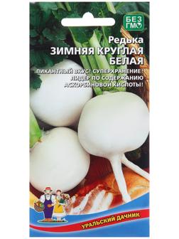 Семена Редька 