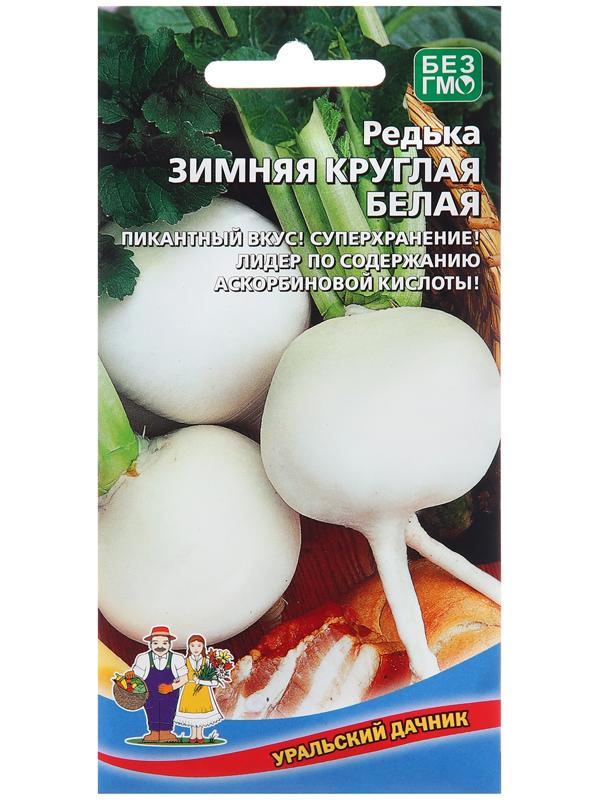 Семена Редька 