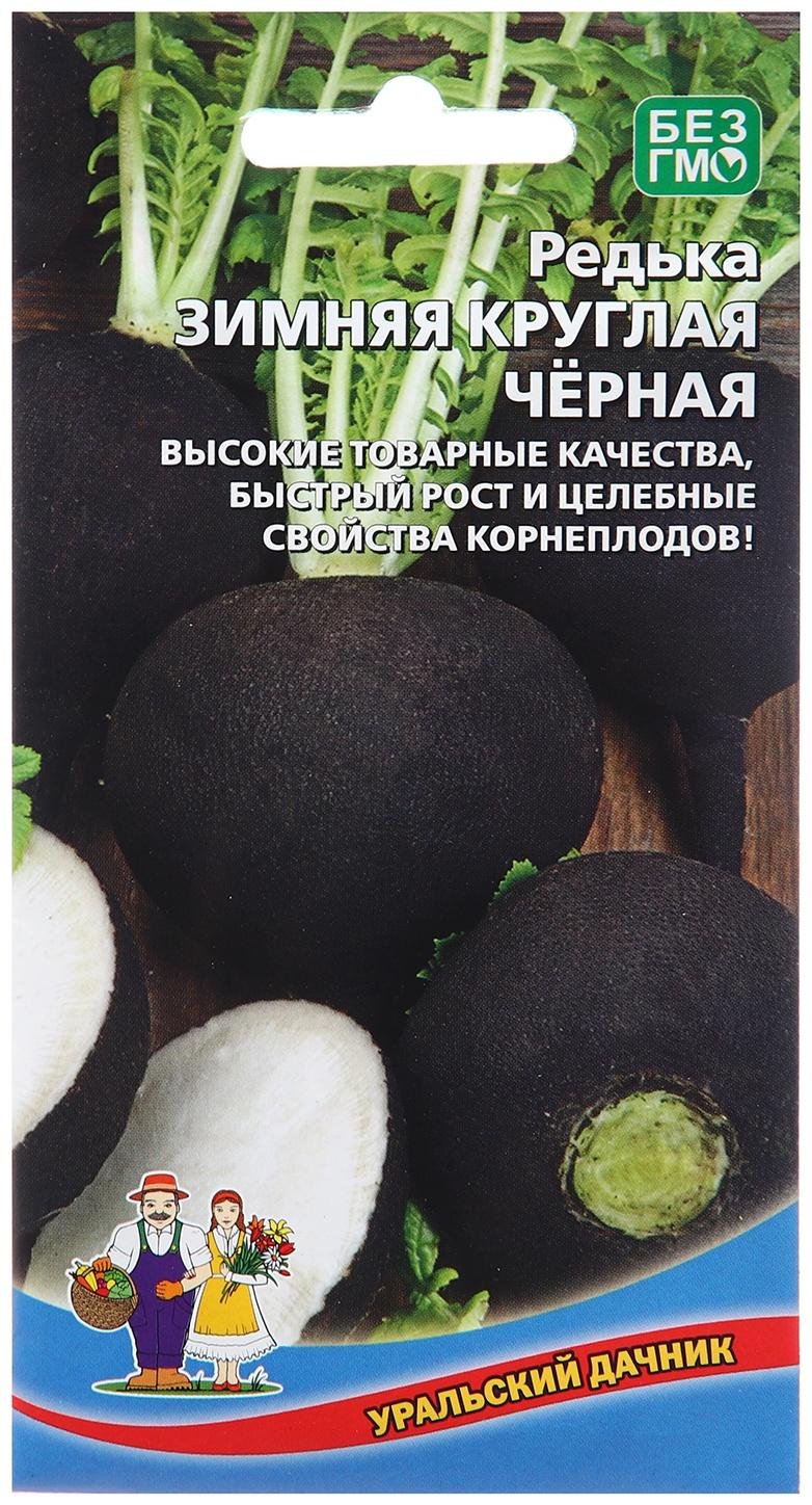 Семена Редька 