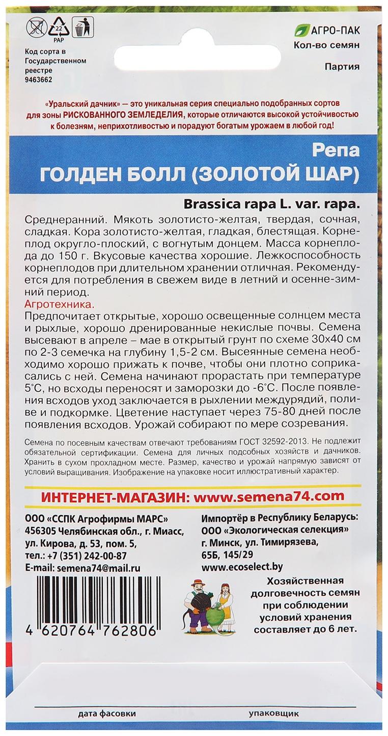 Семена Репа 