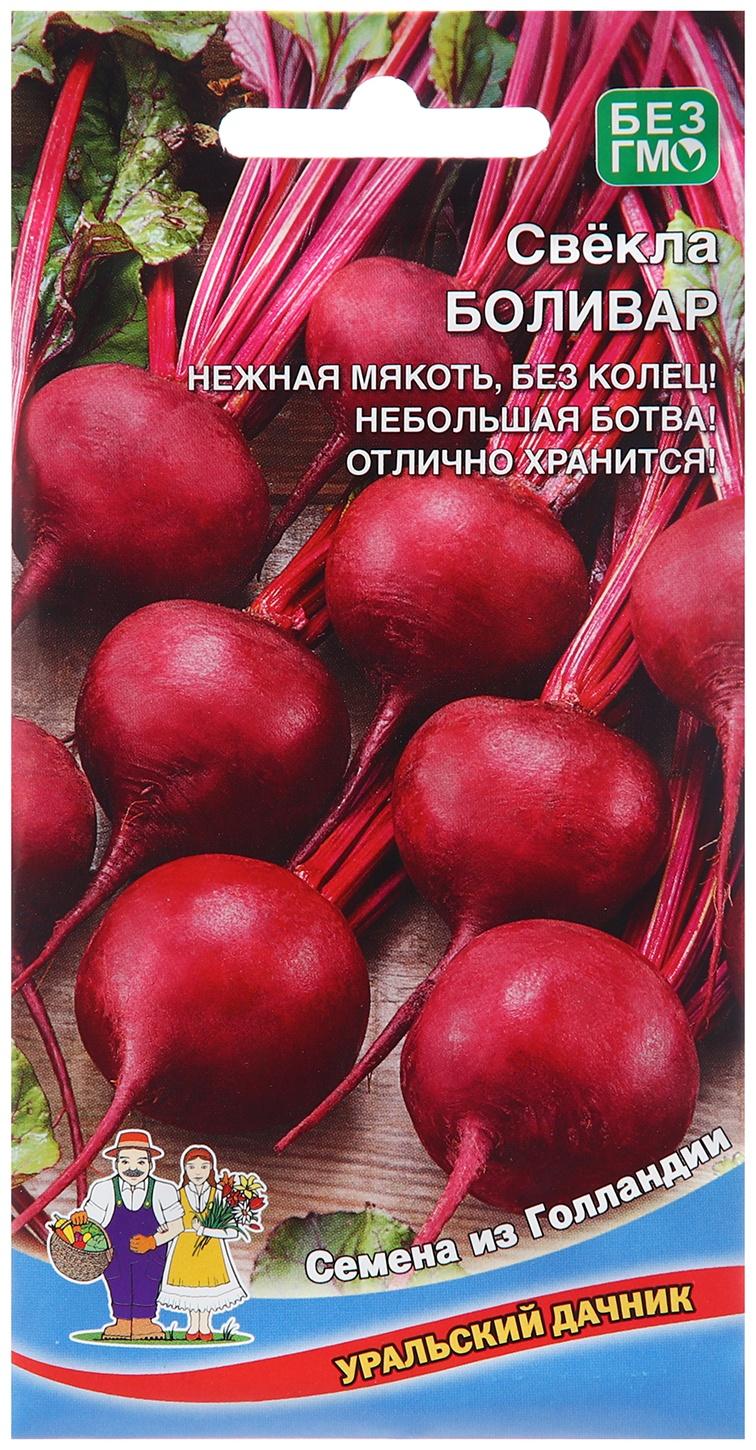 Семена Свекла 