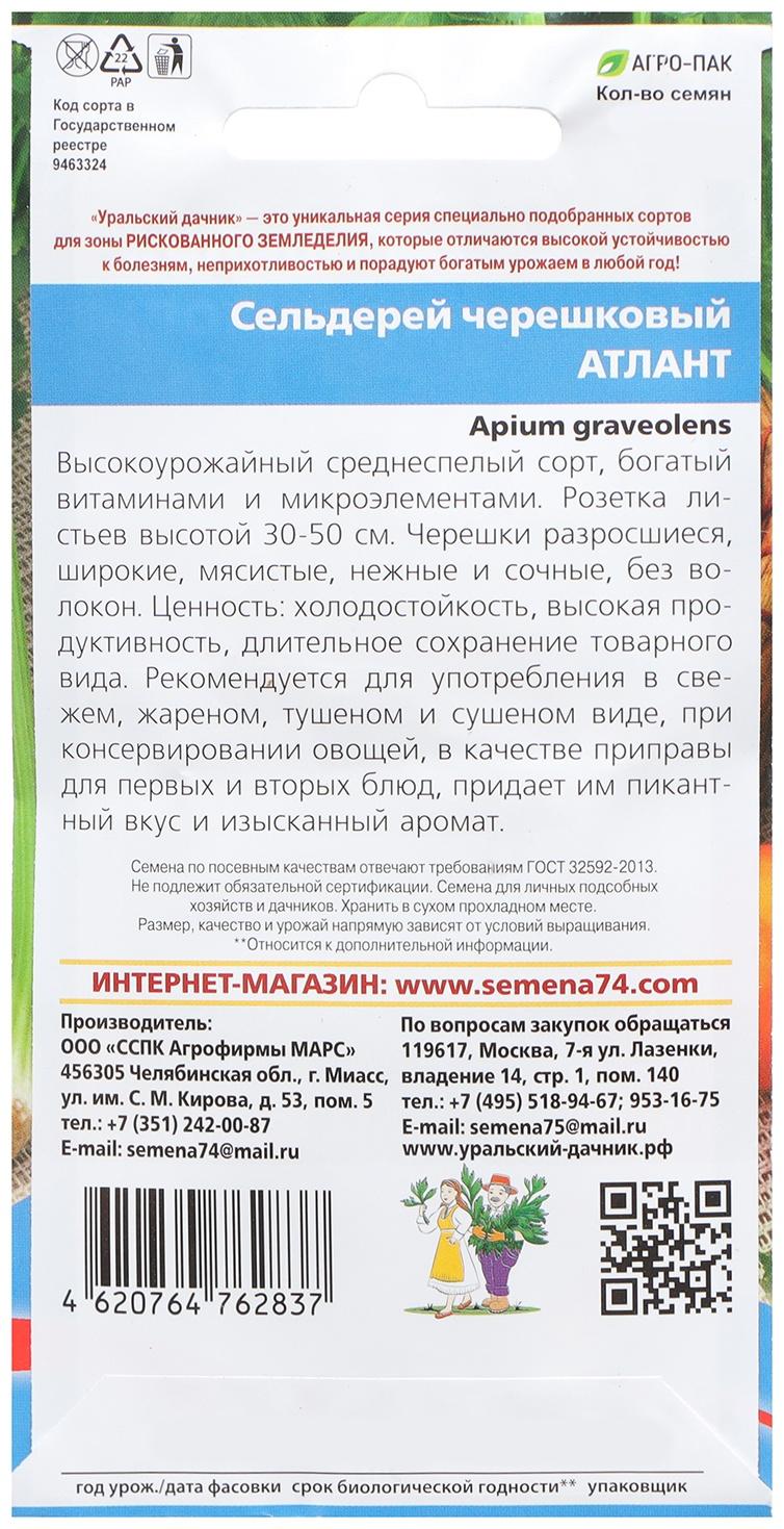 Семена Сельдерей 