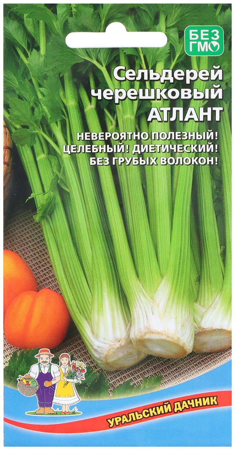 Семена Сельдерей 