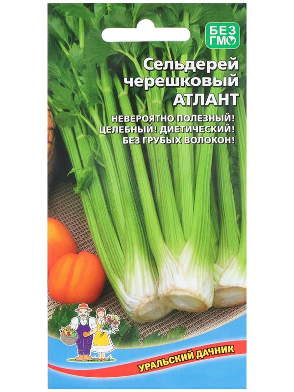 Семена Сельдерей 