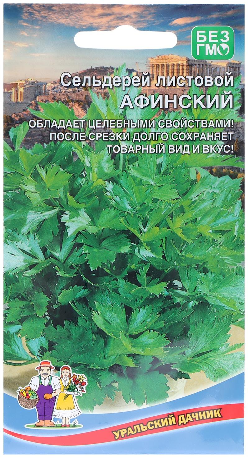 Семена Сельдерей 