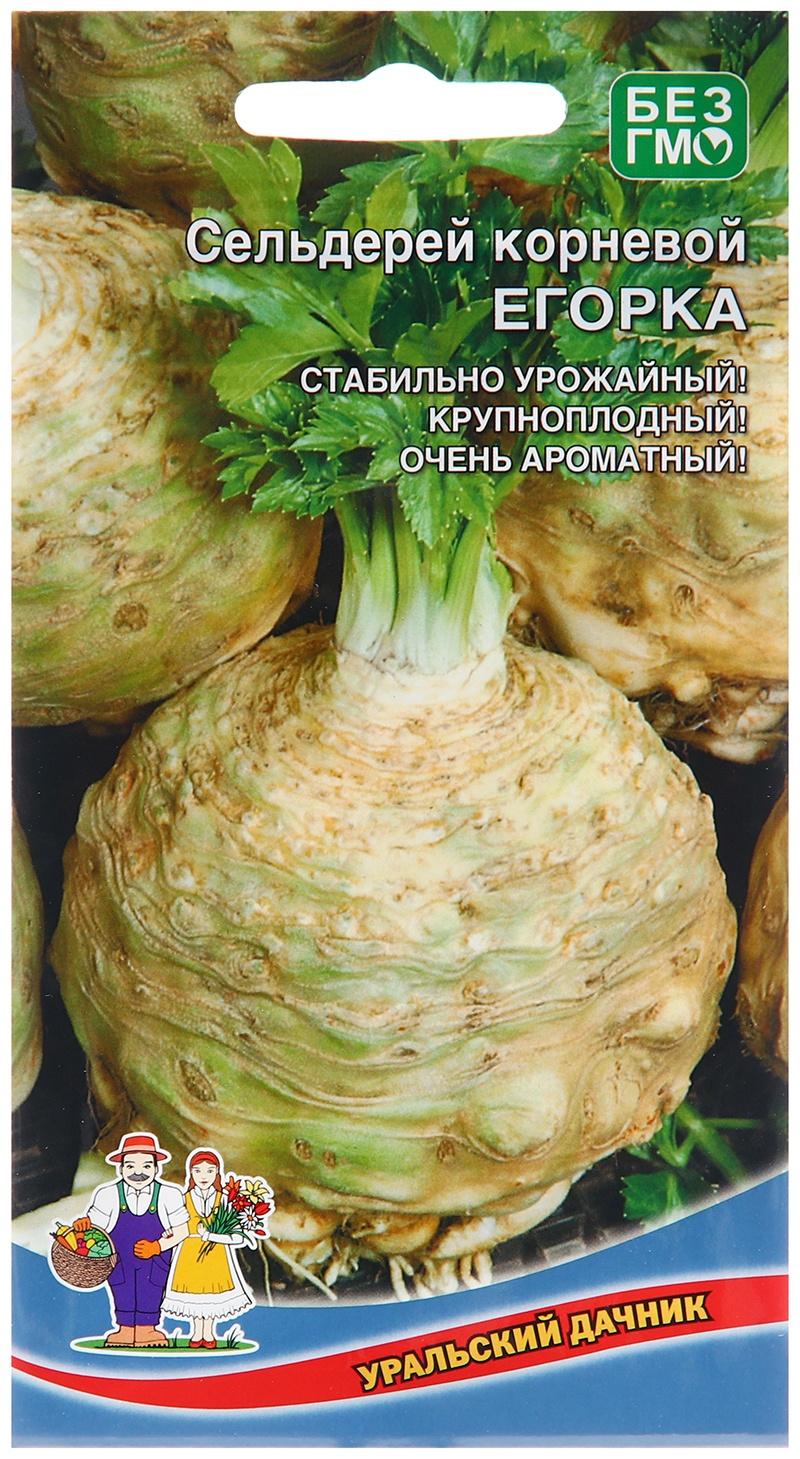 Семена Сельдерей 