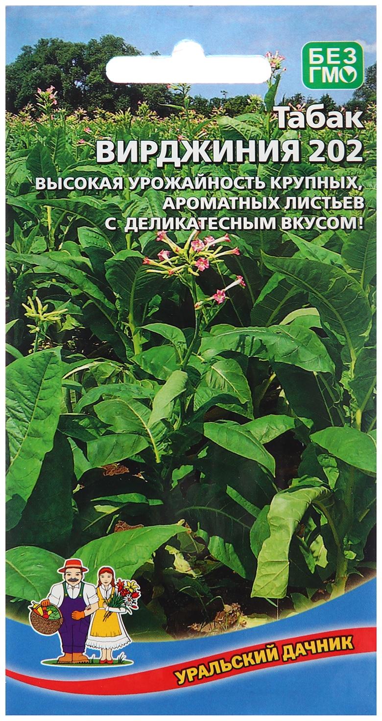 Семена Табак 