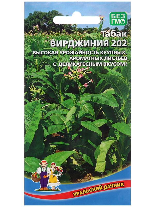 Семена Табак 