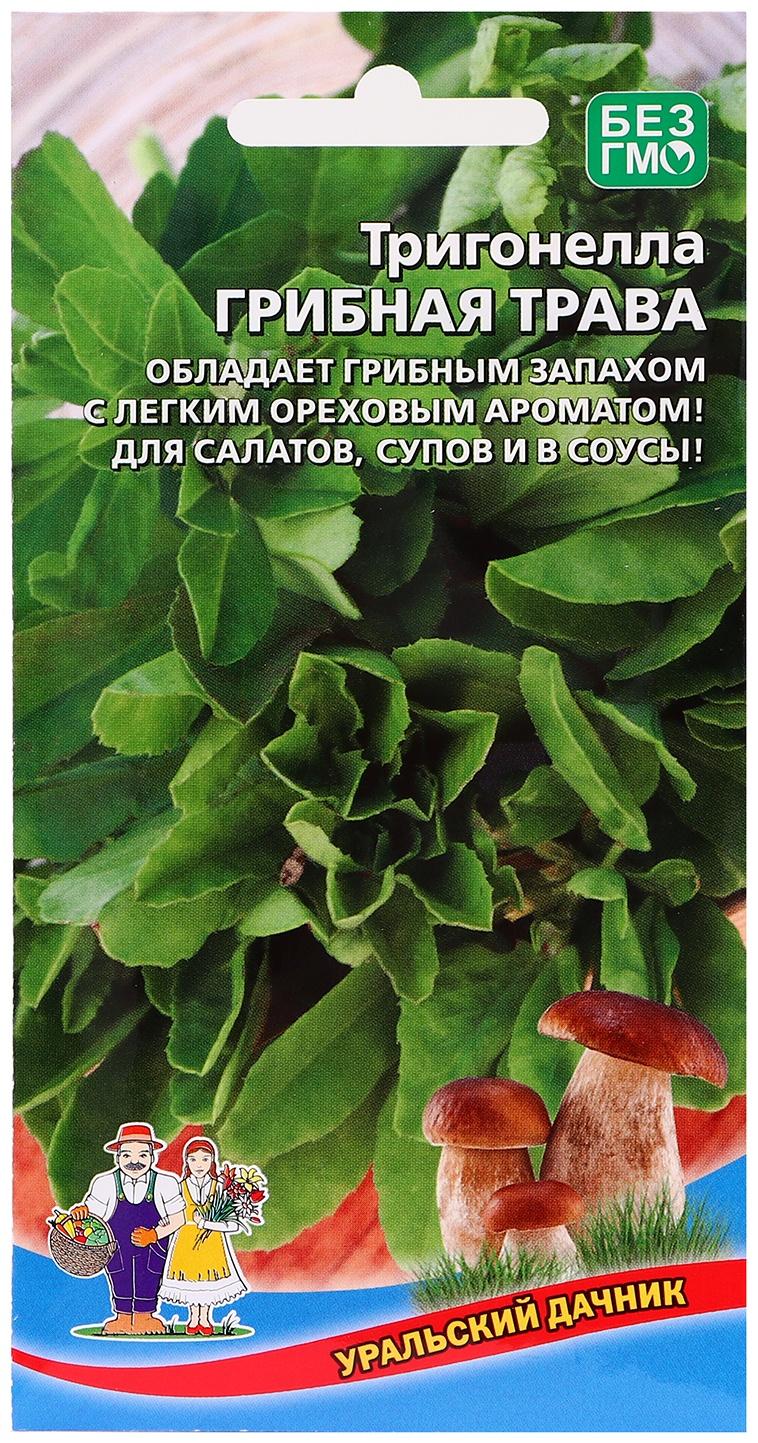 Семена Тригонелла 