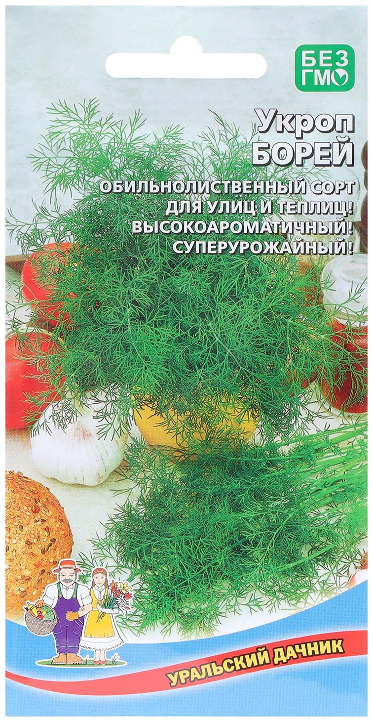 Семена Укроп 