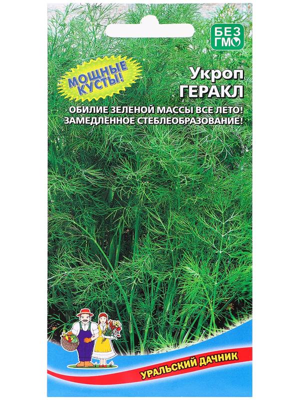 Семена Укроп 