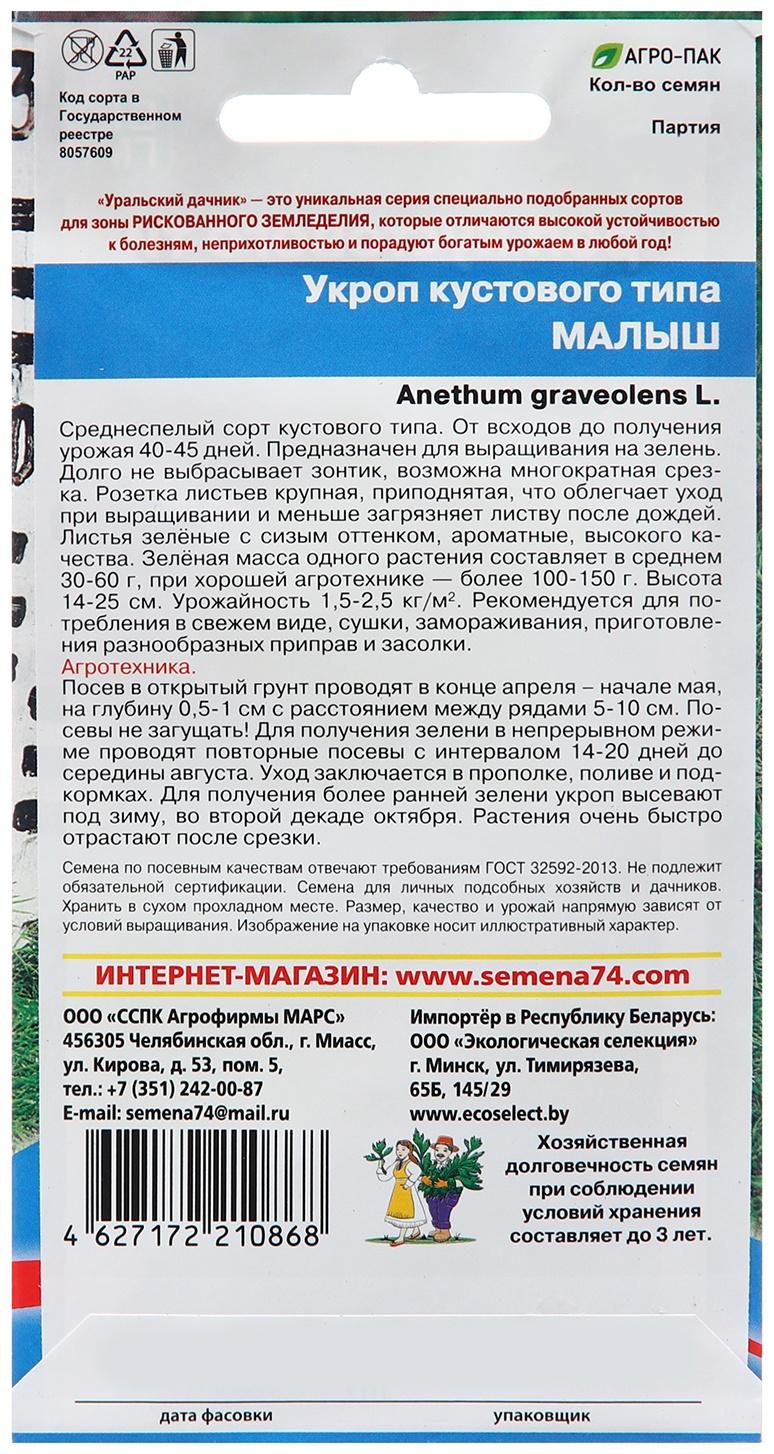 Семена Укроп 