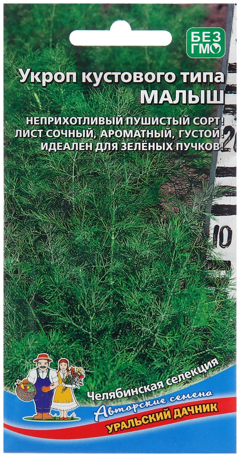 Семена Укроп 