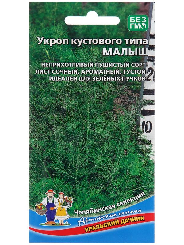 Семена Укроп 