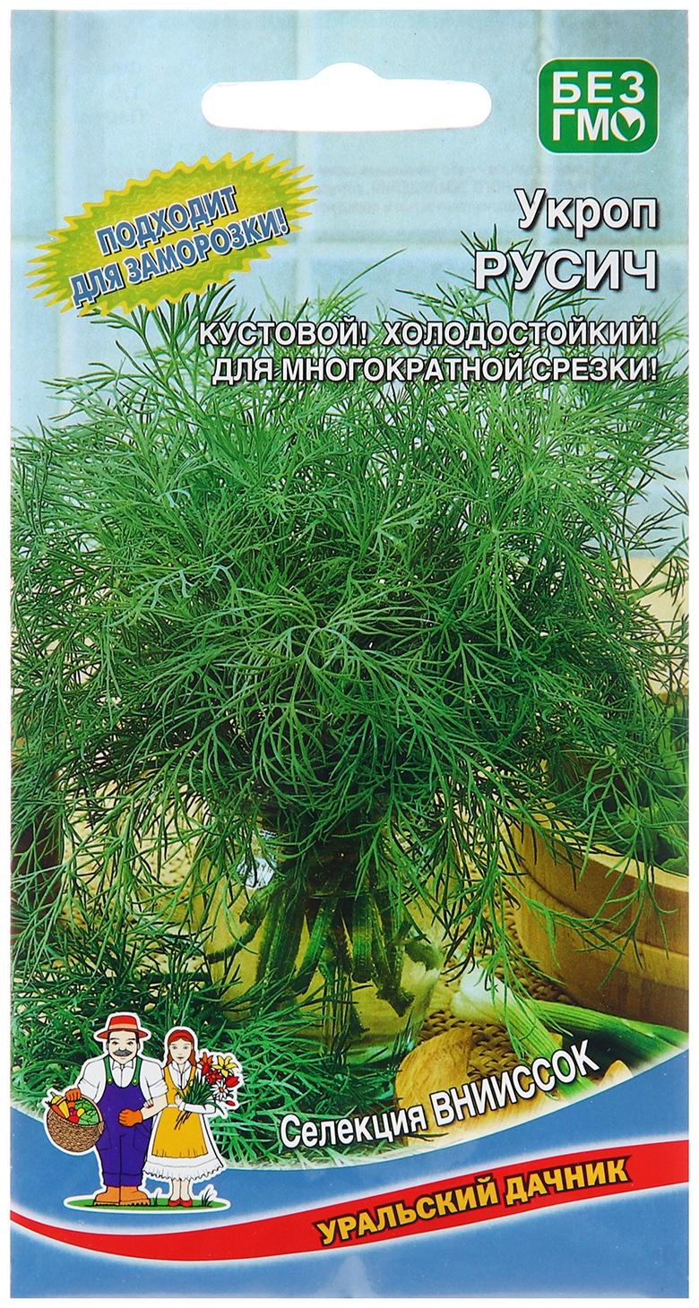 Семена Укроп 