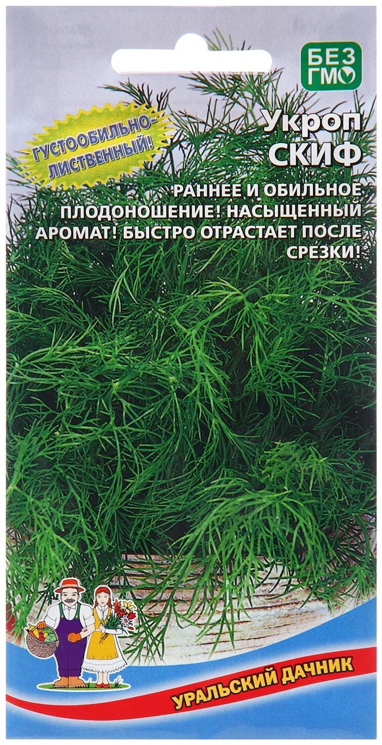 Семена Укроп 