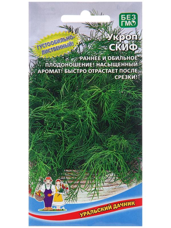 Семена Укроп 