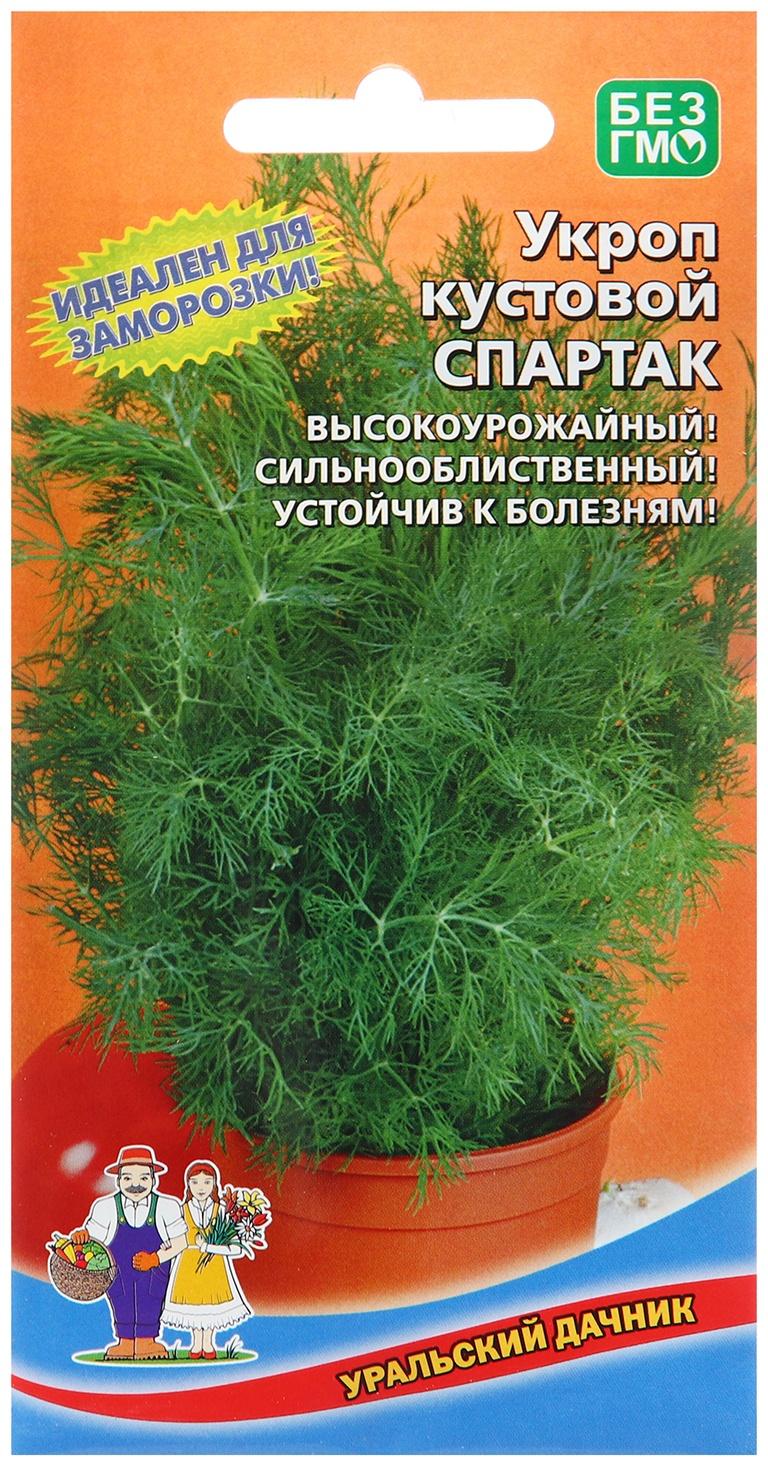 Семена Укроп 