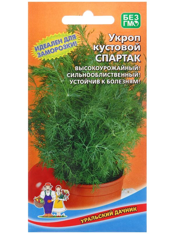 Семена Укроп 