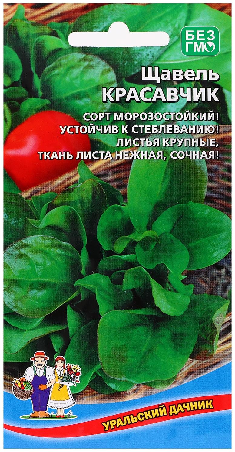 Семена Щавель 