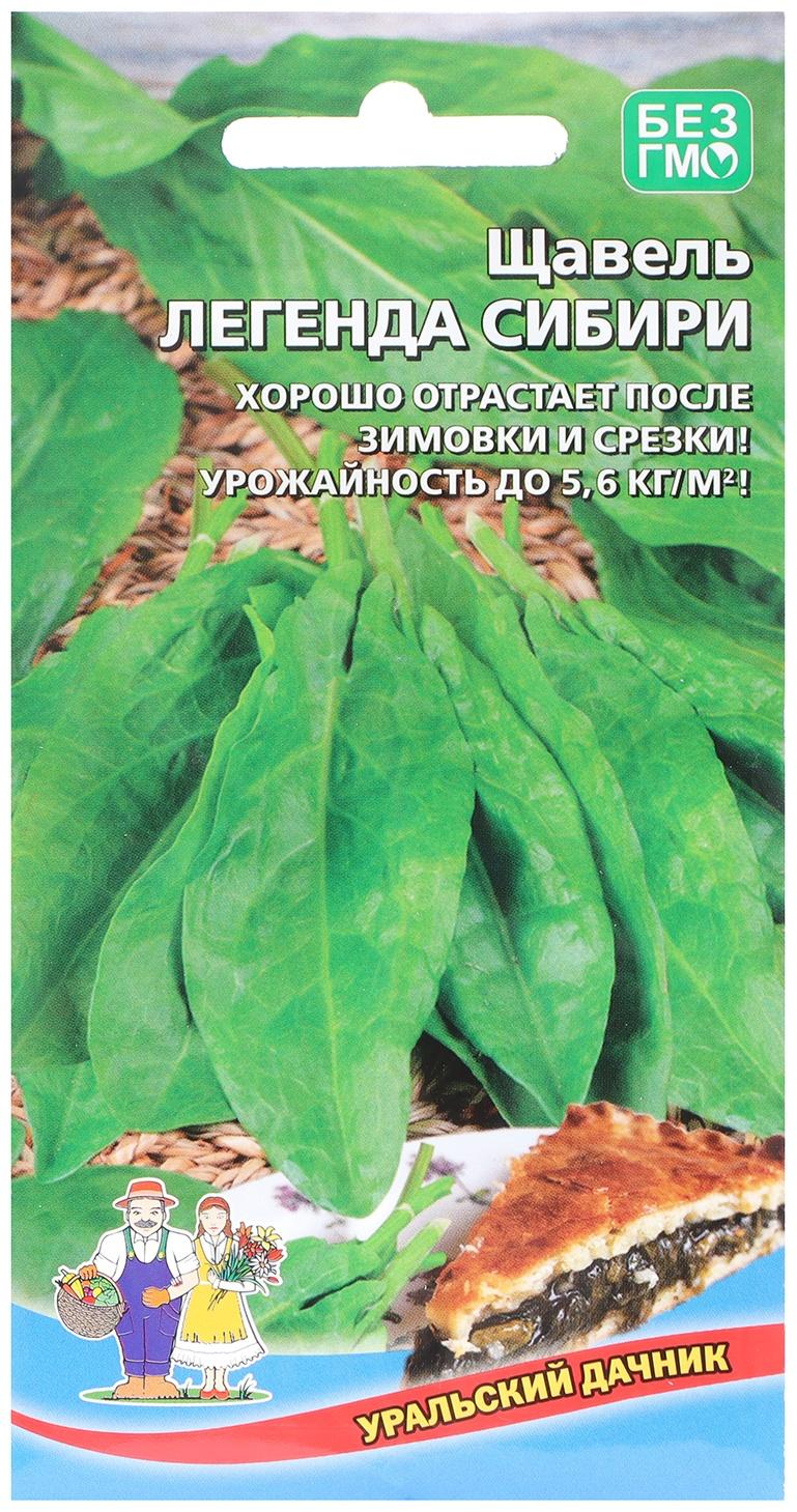 Семена Щавель 