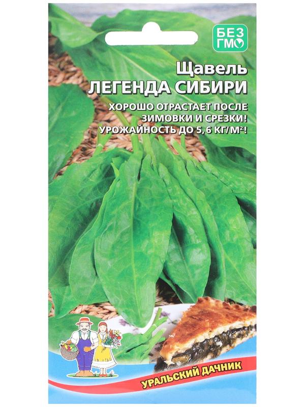 Семена Щавель 