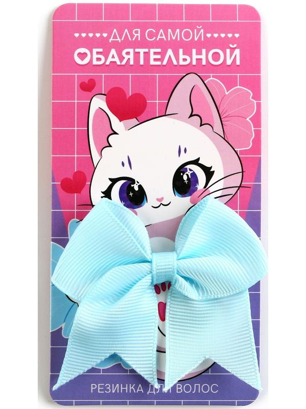 Шоубокс с резинками для волос 