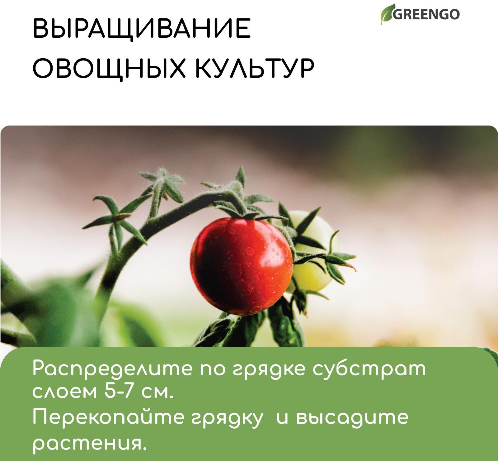 Субстрат кокосовый в брикете, 65 л, 30% чипсы и 70% торф, Greengo