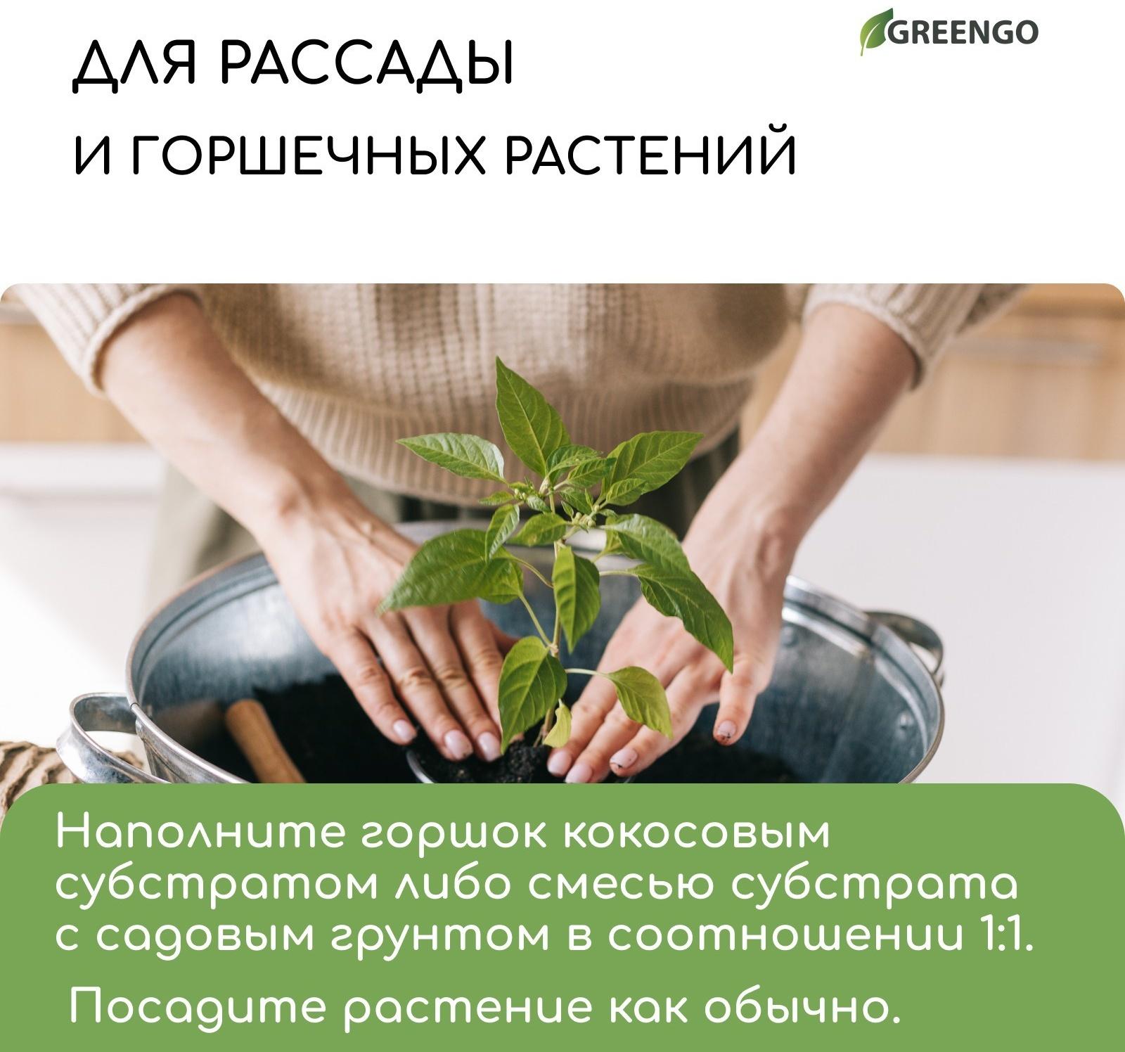 Субстрат кокосовый в брикете, 65 л, 30% чипсы и 70% торф, Greengo