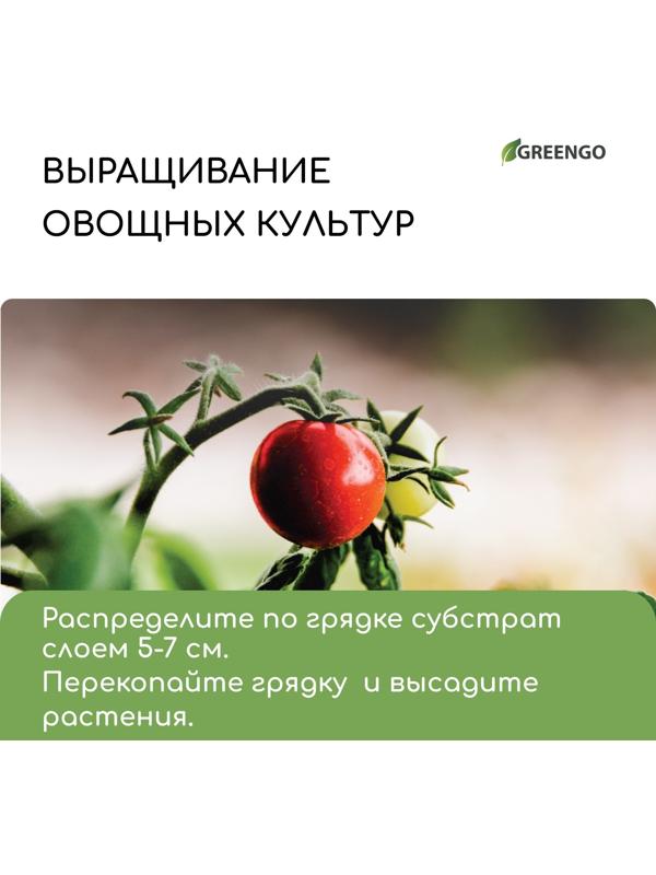 Субстрат кокосовый в брикете, 65 л, 30% чипсы и 70% торф, Greengo