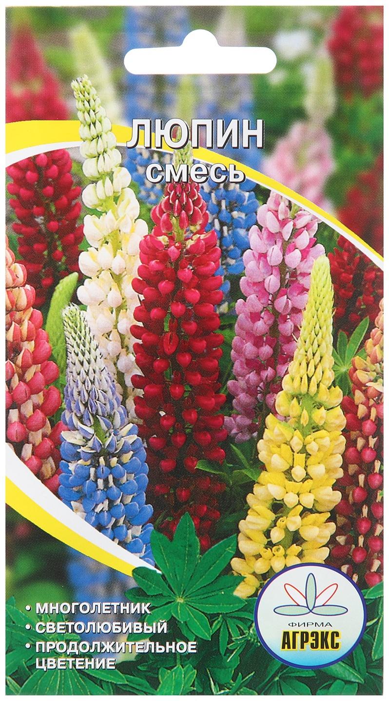 Семена цветов Люпин 