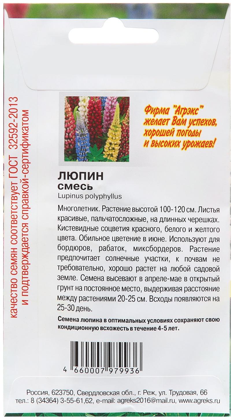 Семена цветов Люпин 