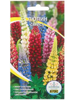 Семена цветов Люпин 