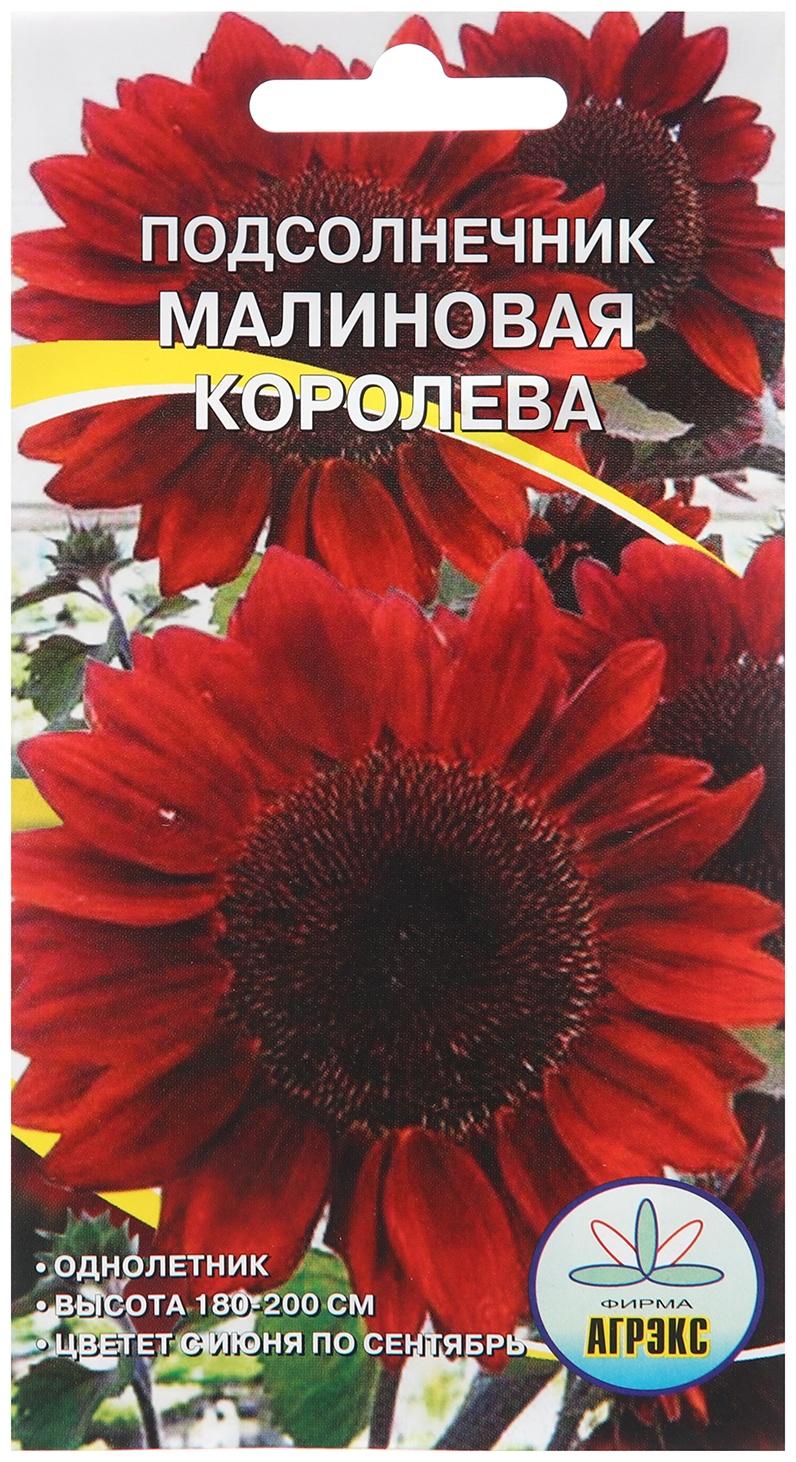 Семена цветов Подсолнечник 