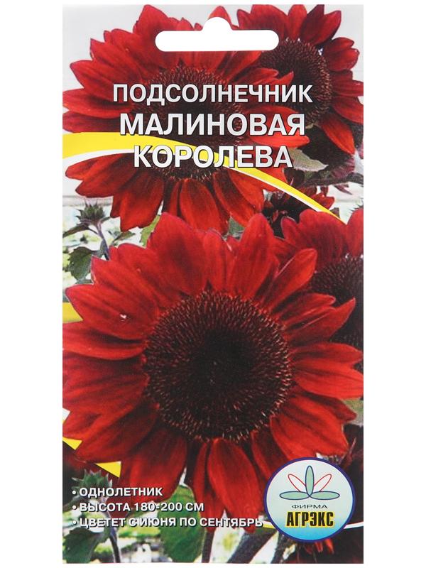 Семена цветов Подсолнечник 