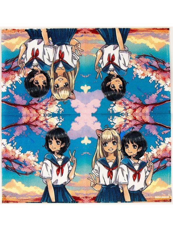 Салфетки 25*25см 