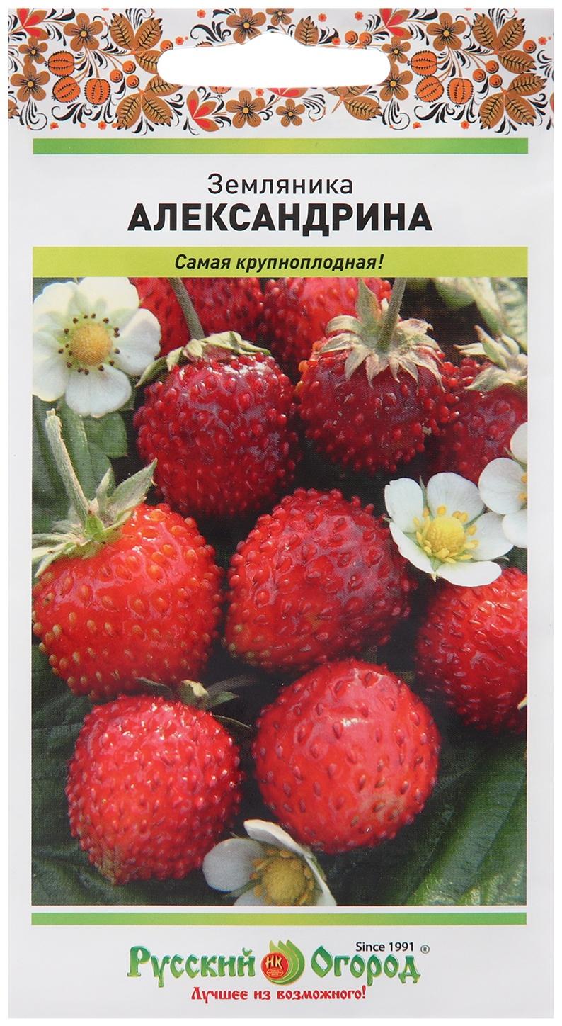 Семена Земляника 