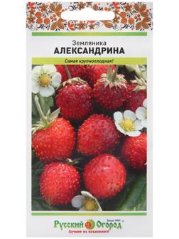 Семена Земляника 