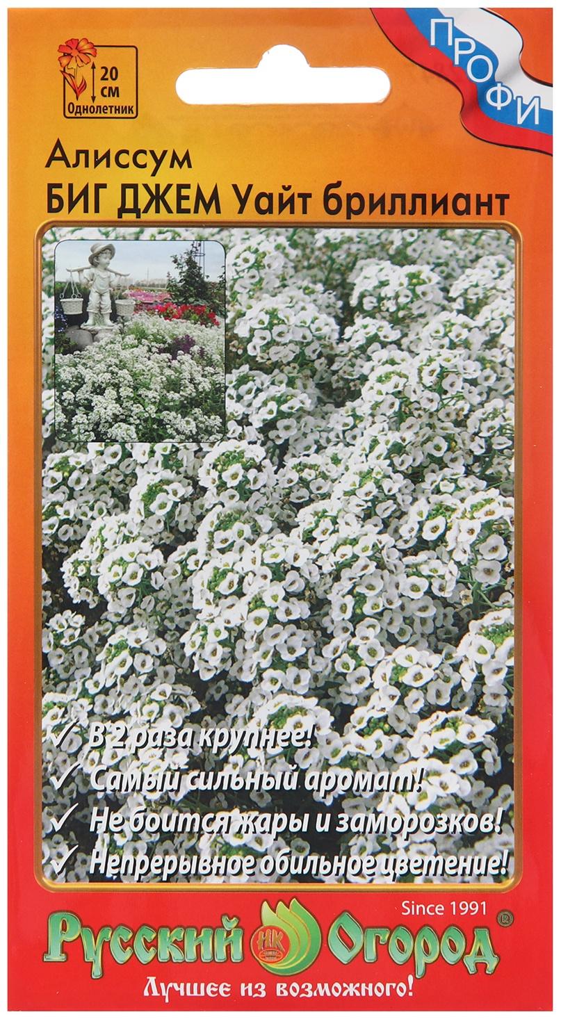 Семена цветов Алиссум Биг Джем Уайт 