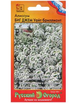 Семена цветов Алиссум Биг Джем Уайт 