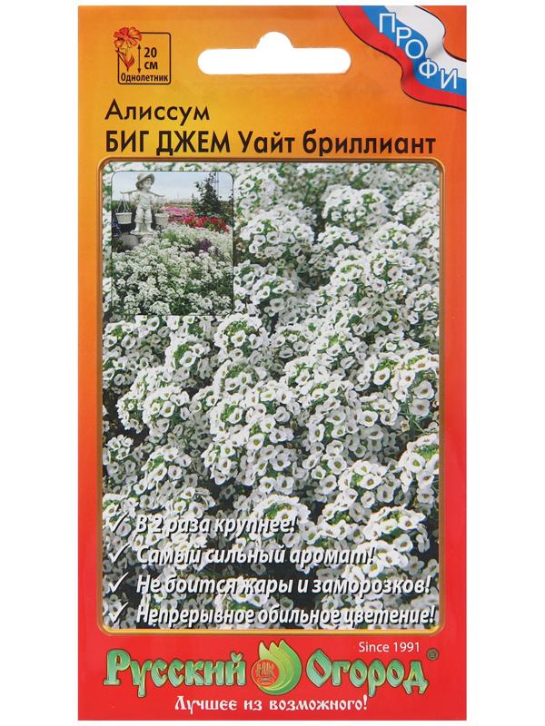 Семена цветов Алиссум Биг Джем Уайт 
