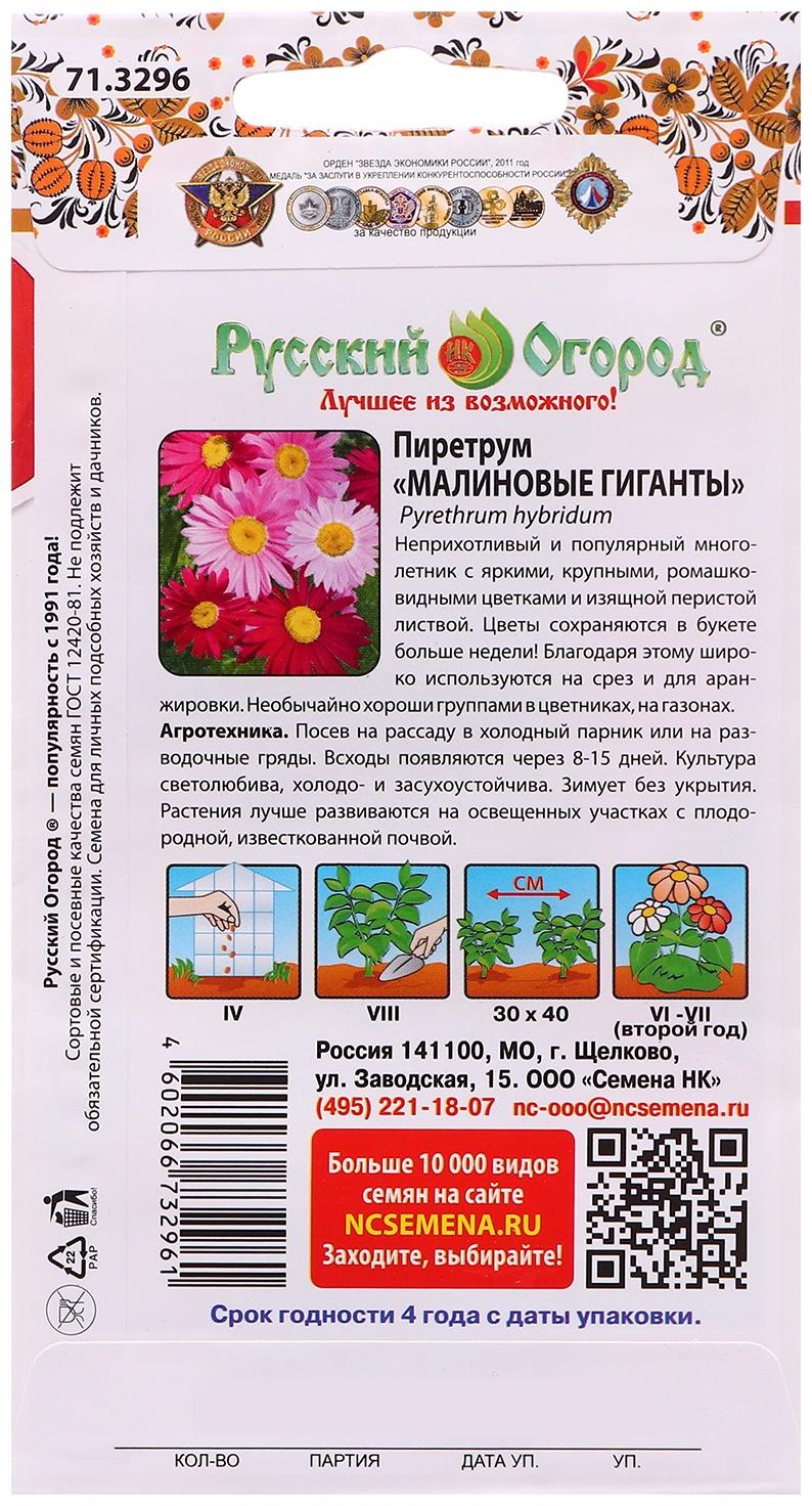 Семена цветов Пиретрум 