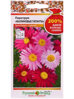 Семена цветов Пиретрум 