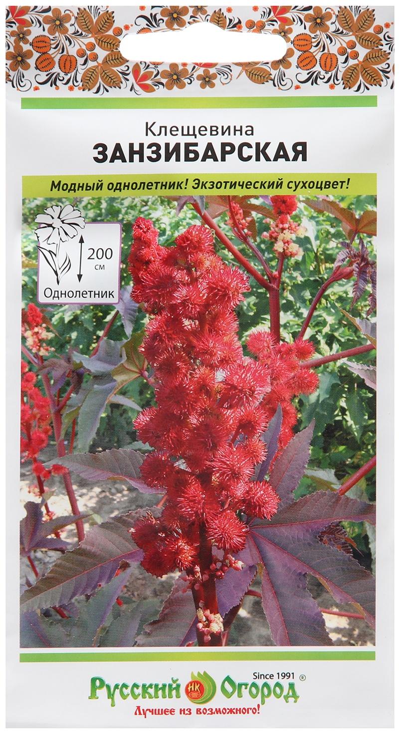 Семена цветов Клещевина 