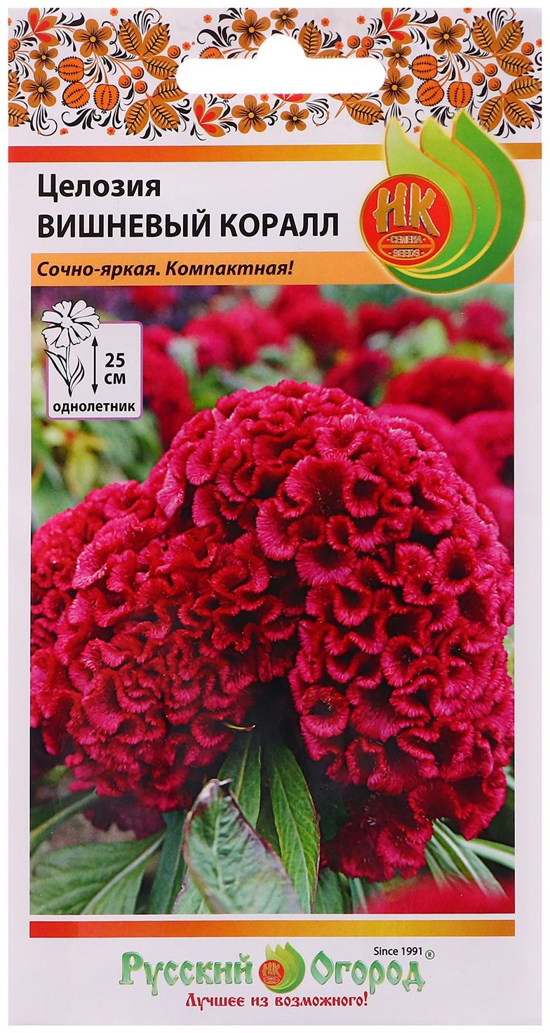 Семена цветов Целозия 